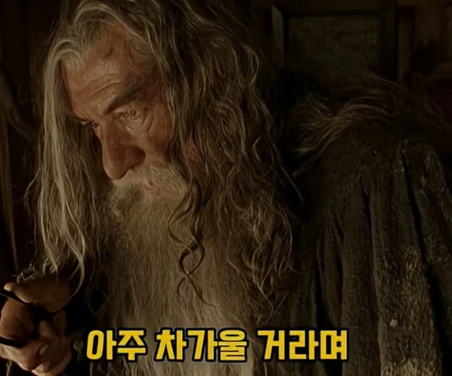 반지) 프로도 손 좀 빌려주겠니?_4.webp