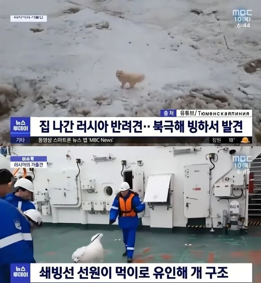 집 나가면 개고생이다_1.webp