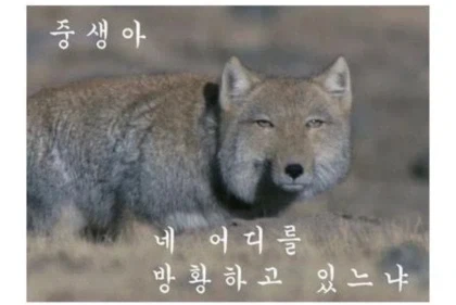 디시인사이드 결국 불법 갤러리까지 생겼네 ㄷㄷ_2.webp