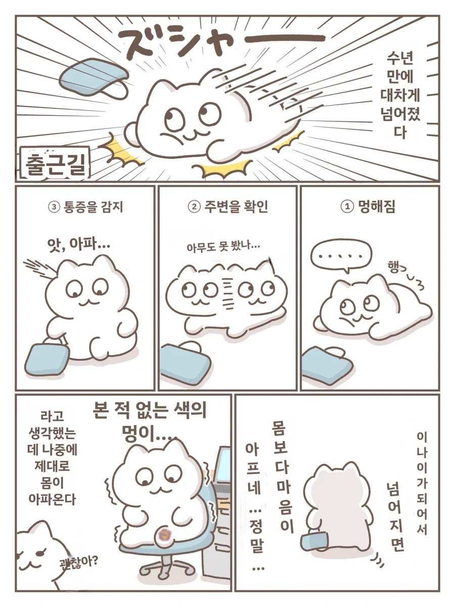 나이 먹고 넘어지면 몸보다도 마음이 아프다_1.webp