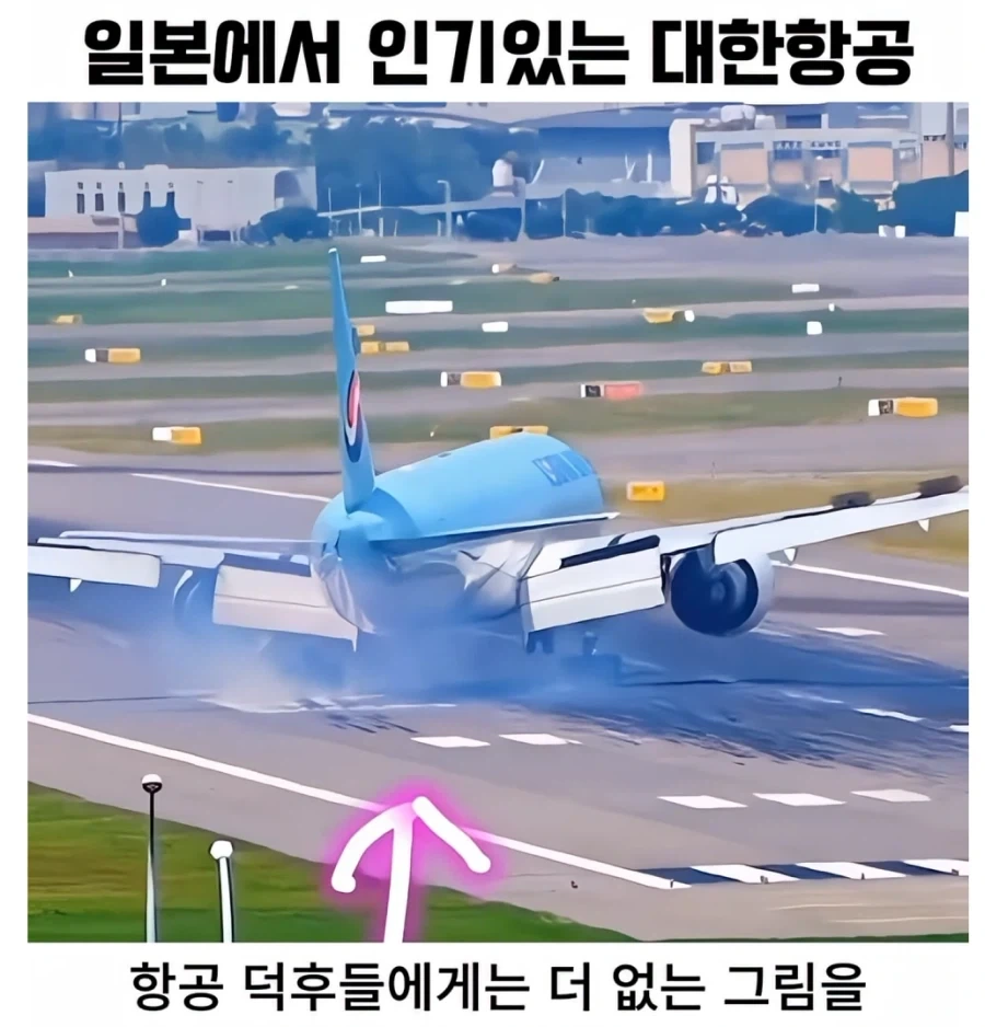 일본 항공 덕후들에게 대한항공이 인기있는 이유_4.webp