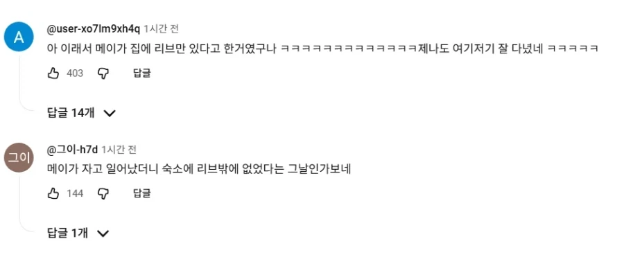 리센느 리브와 메이가 사이 돈독해지던 순간.jpg_16.webp