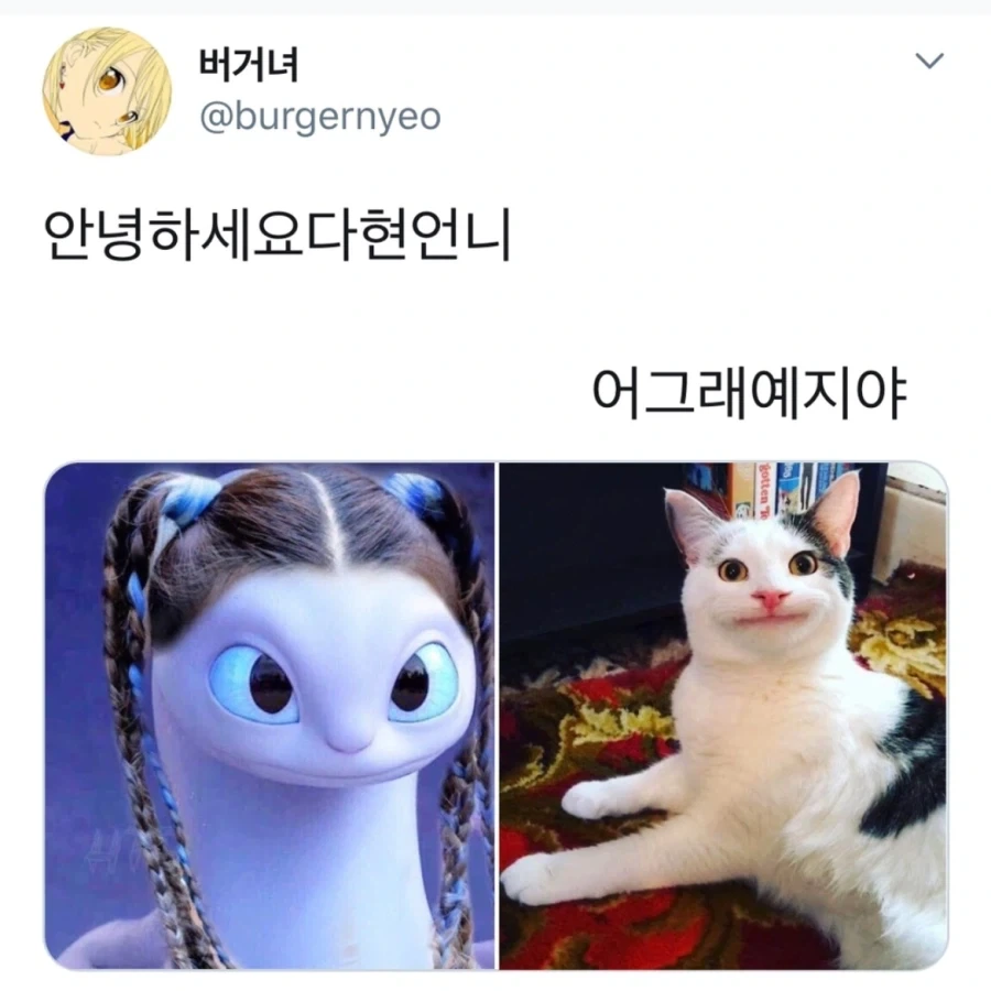 안녕하세요 다현언니_1.webp