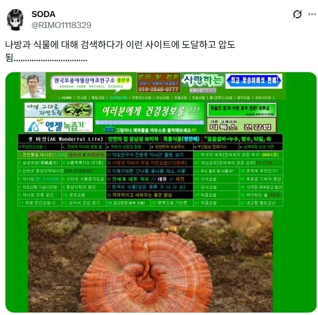 나방과 식물에 대해 검색하다 도달한 곳.jpg_1.webp