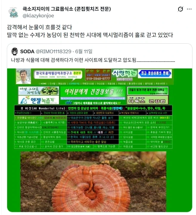 나방과 식물에 대해 검색하다 도달한 곳.jpg_2.webp