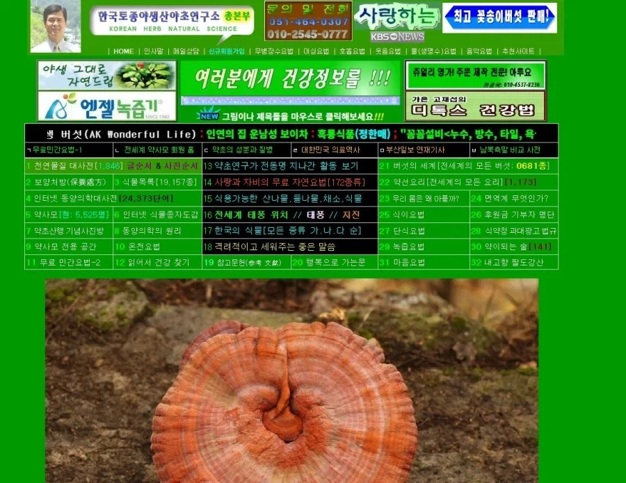 나방과 식물에 대해 검색하다 도달한 곳.jpg_3.webp