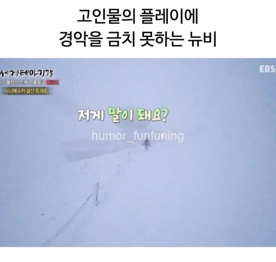 설산에서 만난 고인물_6.webp