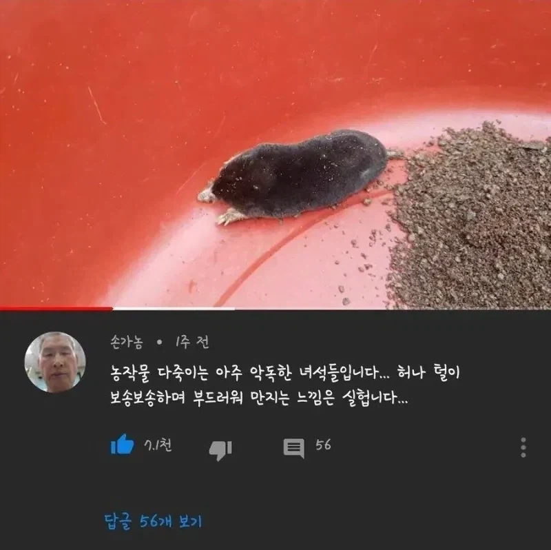 농작물을 다 죽이는 아주 악독한 녀석입니다. 그러나….jpg_1.webp