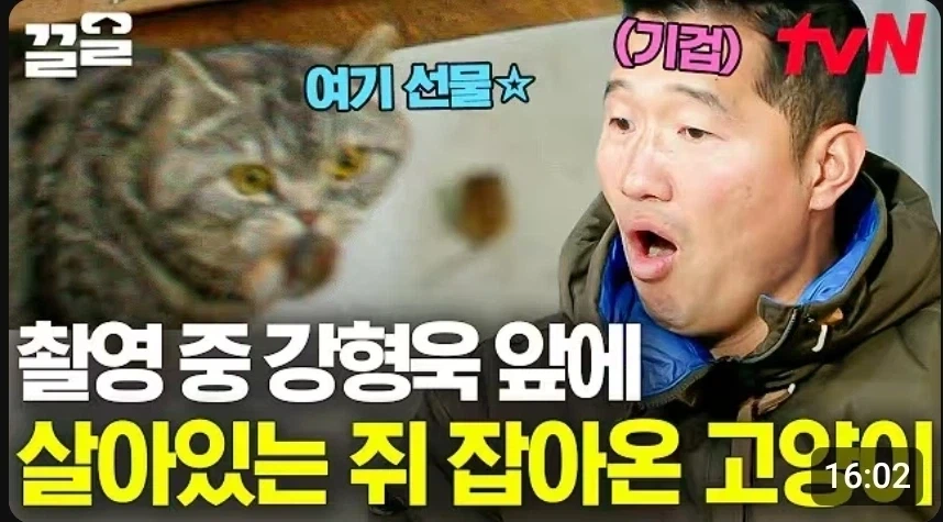 강형욱이 공식으로 인정한 감당할수 없는 개품종_1.webp