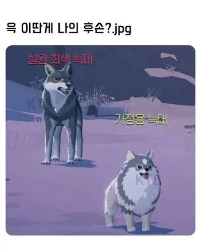 이딴 게 나의 후손?_1.webp