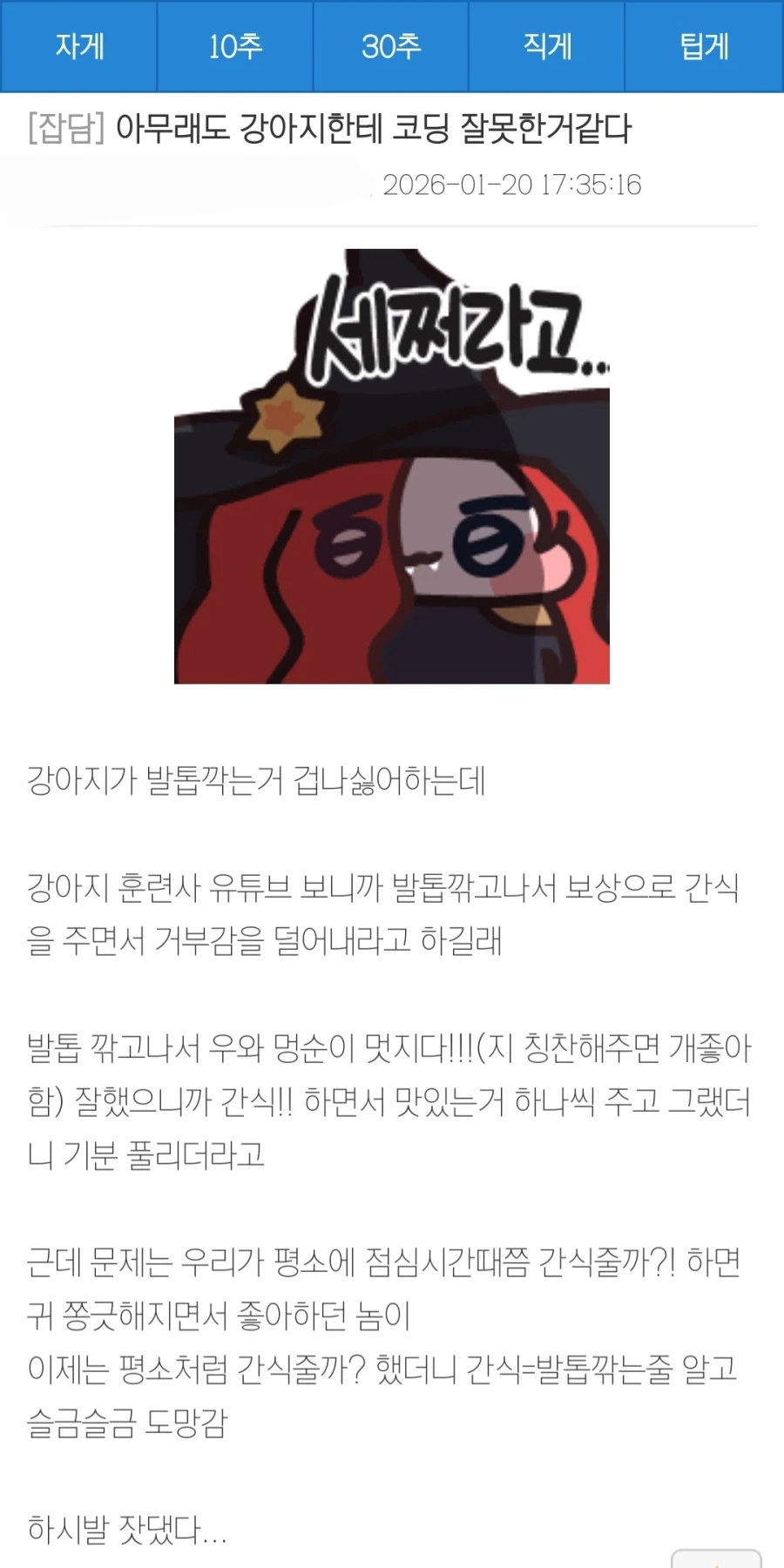강아지 코딩이 잘못됨.jpg_1.webp