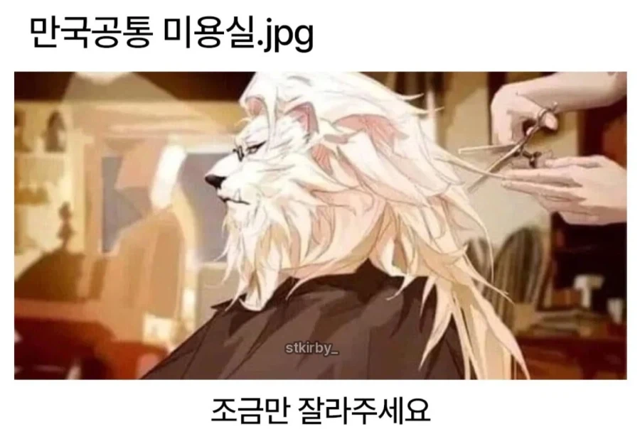 만국공통 미용실_1.webp