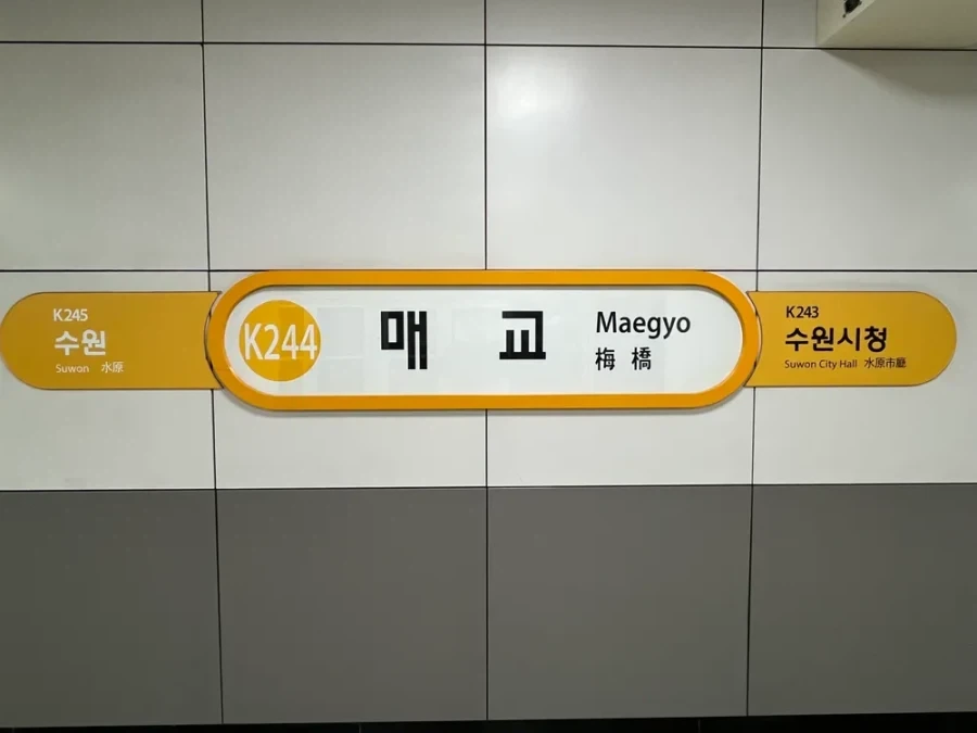 네모네모고먐미가 애교를 부리면????_2.webp