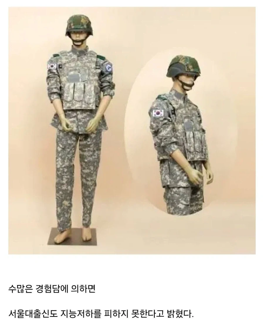 입으면 지능이 떨어진다는 옷_1.webp