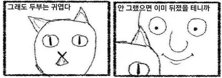 이야 고양이 표정 야무지네_3.webp