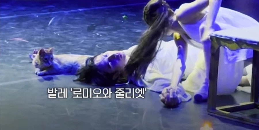 연극 클라이막스 인데 왠 미친.넘이 난입한.._1.webp