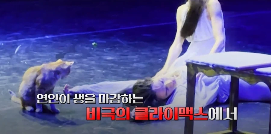 연극 클라이막스 인데 왠 미친.넘이 난입한.._4.webp