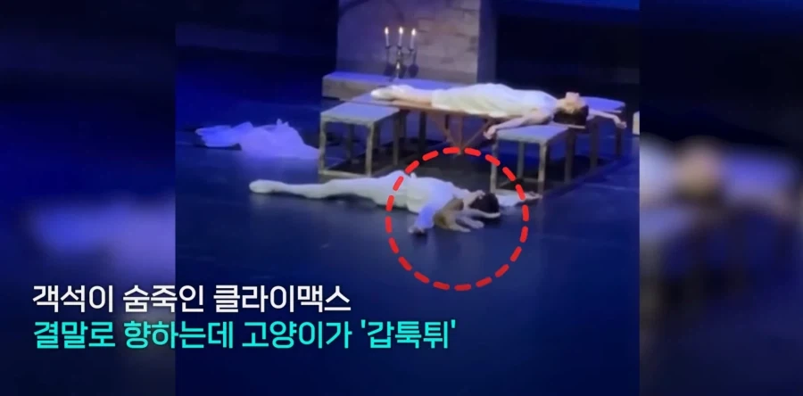 연극 클라이막스 인데 왠 미친.넘이 난입한.._6.webp