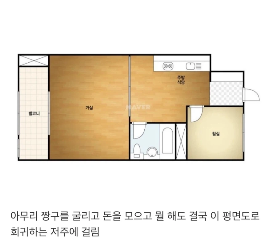 흙수저가 서울에서 집 구하면 계속 마주치는 평면도_1.webp