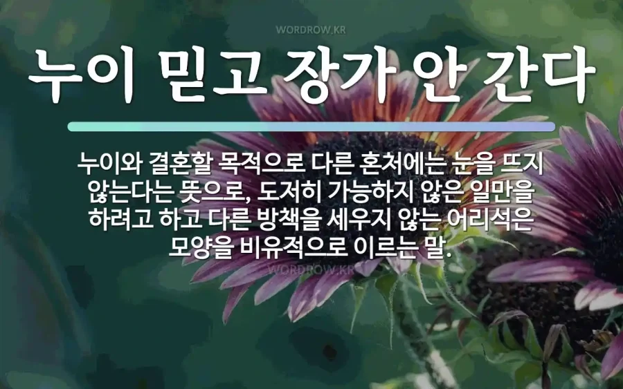 속담의 의미가 심각하게 왜곡된 이유_1.webp
