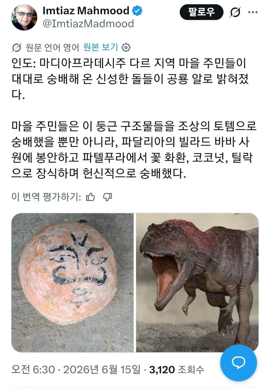 인도 모 지역에서 신성시되던 돌, 알고보니..._1.webp