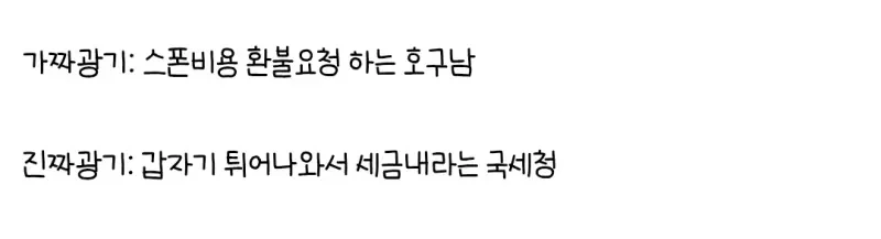 국세청의 광기_2.webp