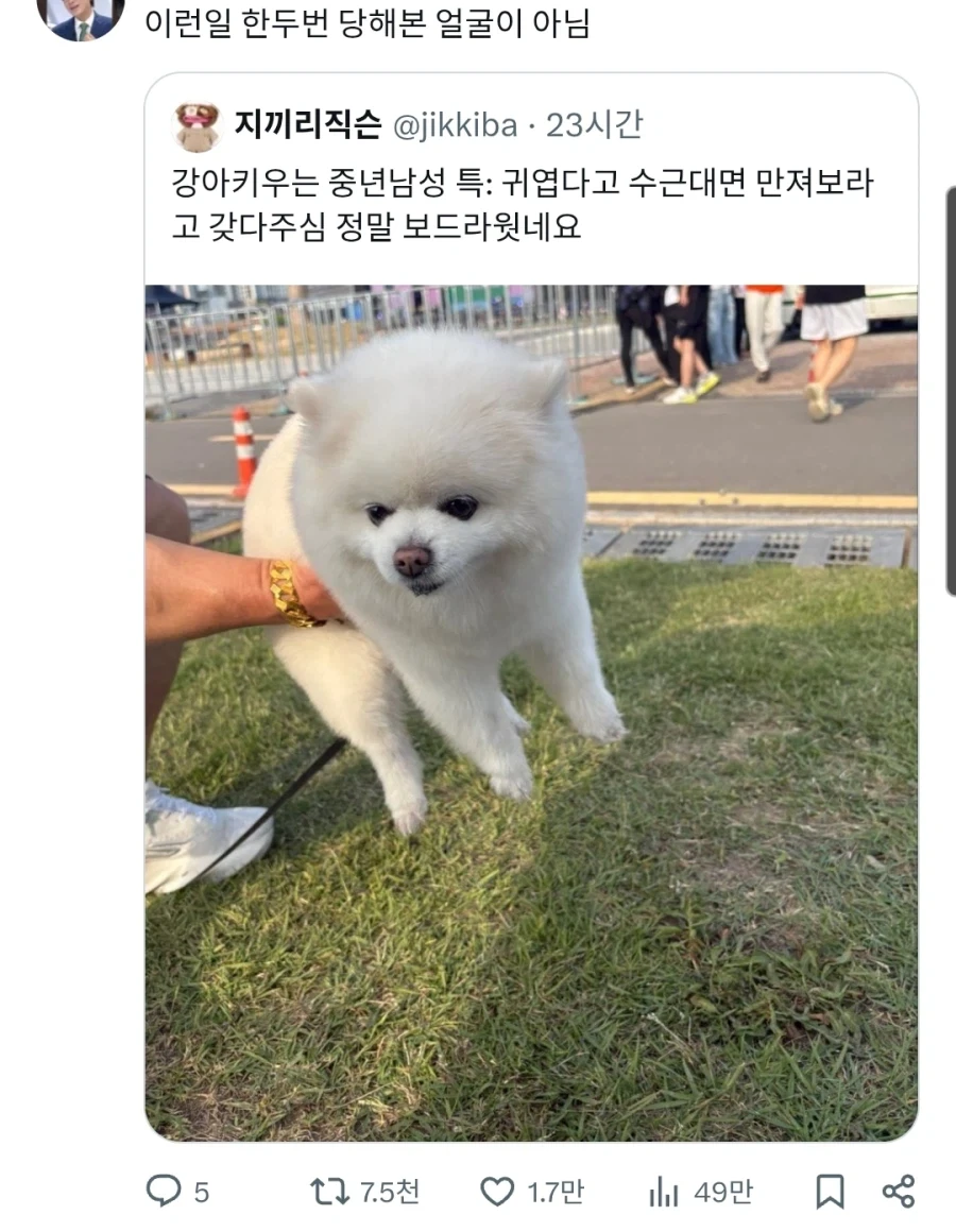 강아지 키우는 중년 남성 특징.jpg_1.webp