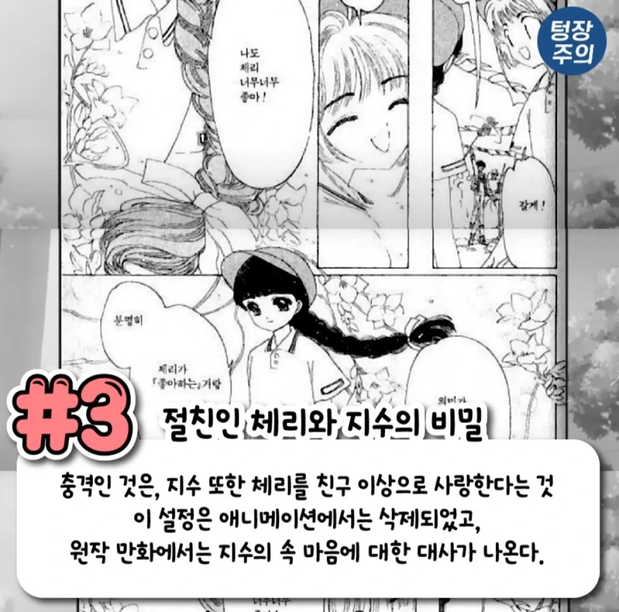 사람들이 잘모르는 카드캡터체리 비하인드_4.webp