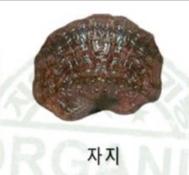 보라색 자지 보고가라_1.webp