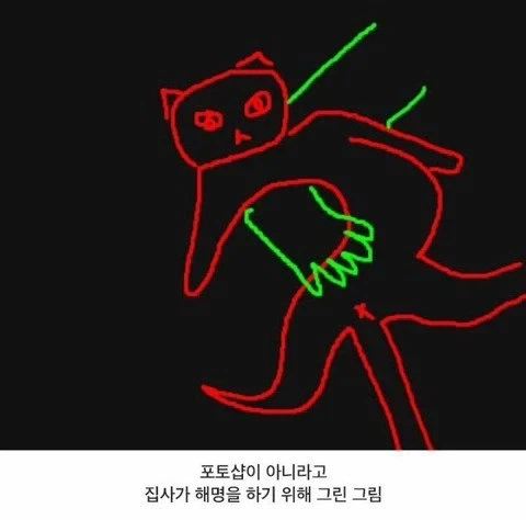 기르던 고양이의 심장을 주먹으로 꿰뚫은 여자_2.webp