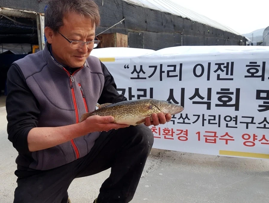 민물고기 회를 안전하게 먹을 수 있는 이유_2.webp