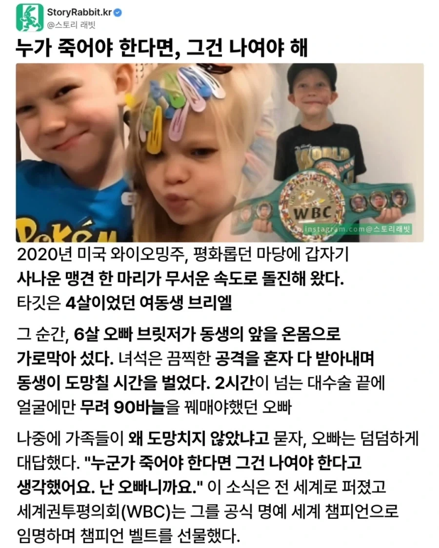 죽어야 한다면 그건 나여야 한다!_1.webp