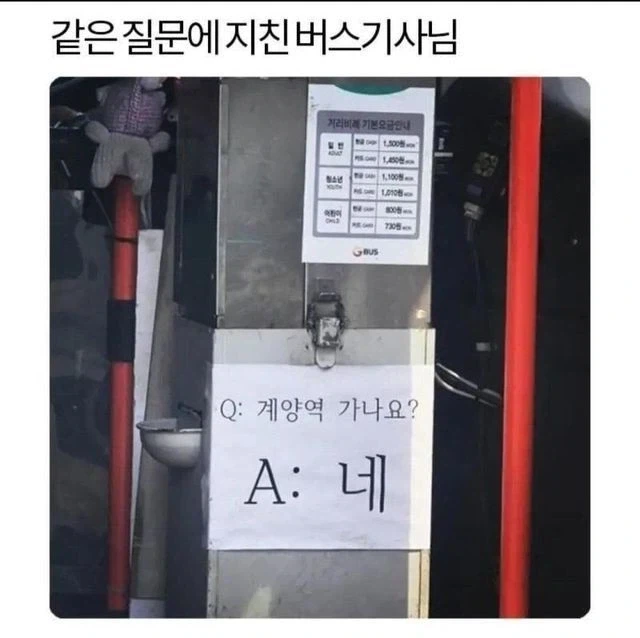 알아보기 편한 버스_1.webp