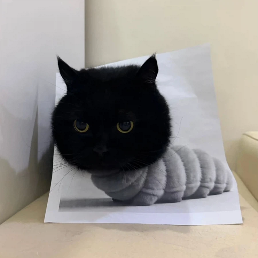 집사의 조회수에 이용되는 검냥이..._3.webp