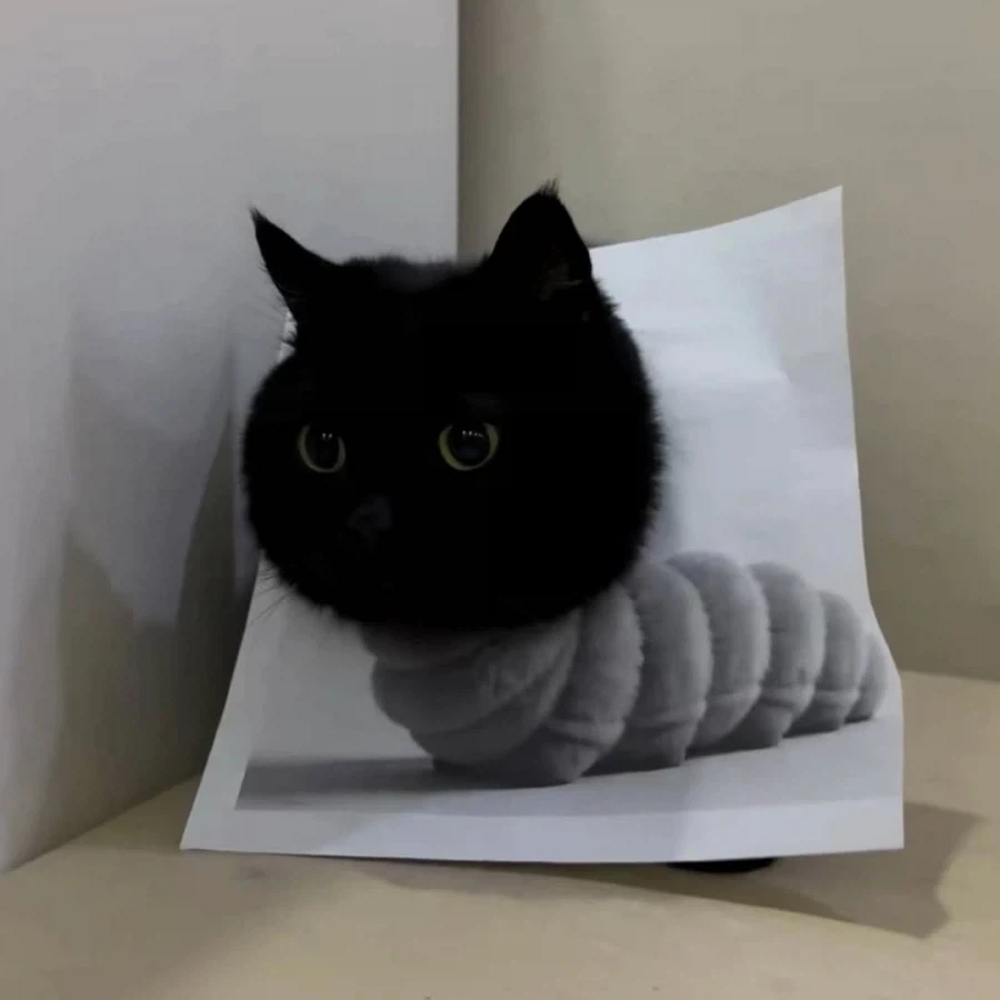 집사의 조회수에 이용되는 검냥이..._4.webp