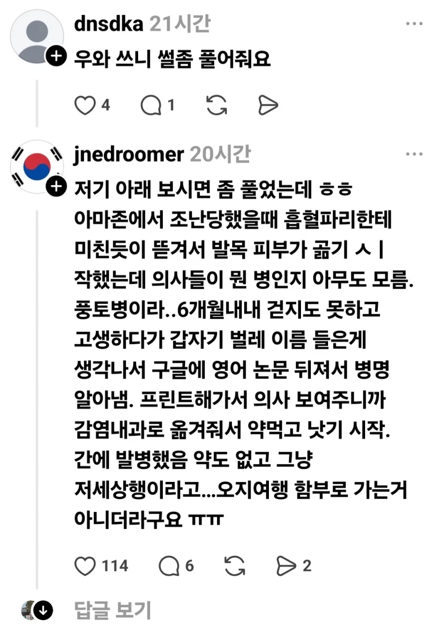 아마존 정글에서 조난되면 찾기 힘든 이유.jpg_3.webp
