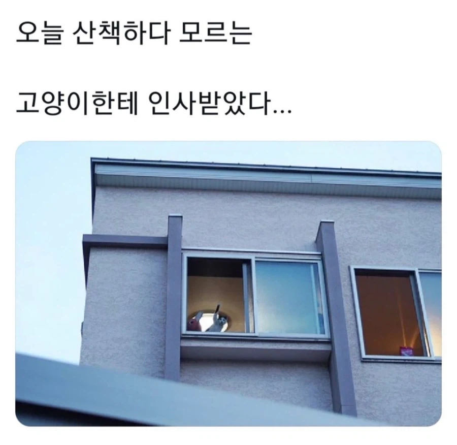 살려달라 닝겐_1.webp