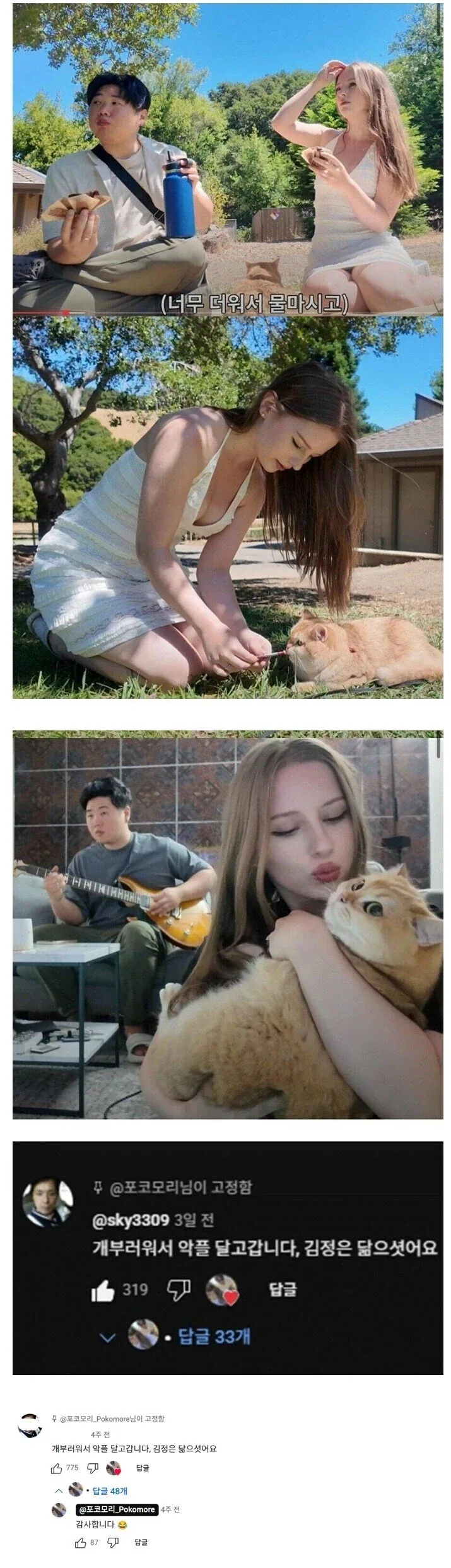 솔직히 개부러워서 악플 답니다.jpg_1.webp