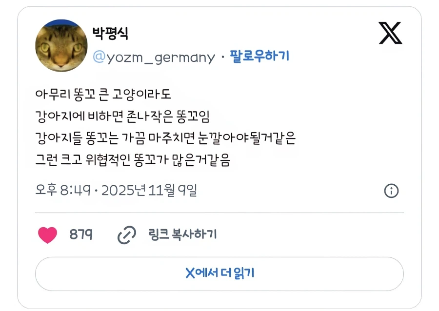 고양이와 강아지의 차이점_1.webp