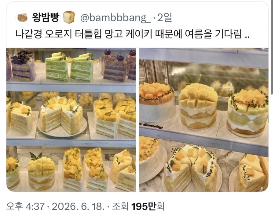 이건 케이크가 아님_1.webp