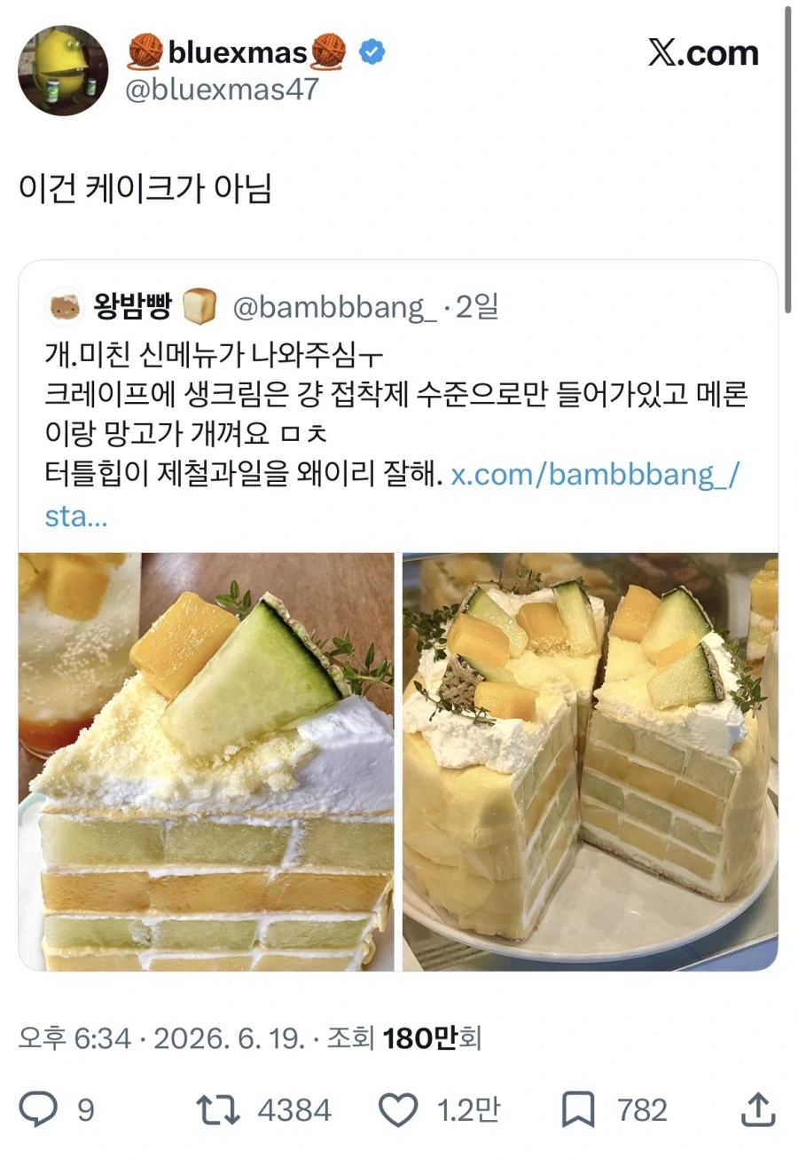 이건 케이크가 아님_5.webp