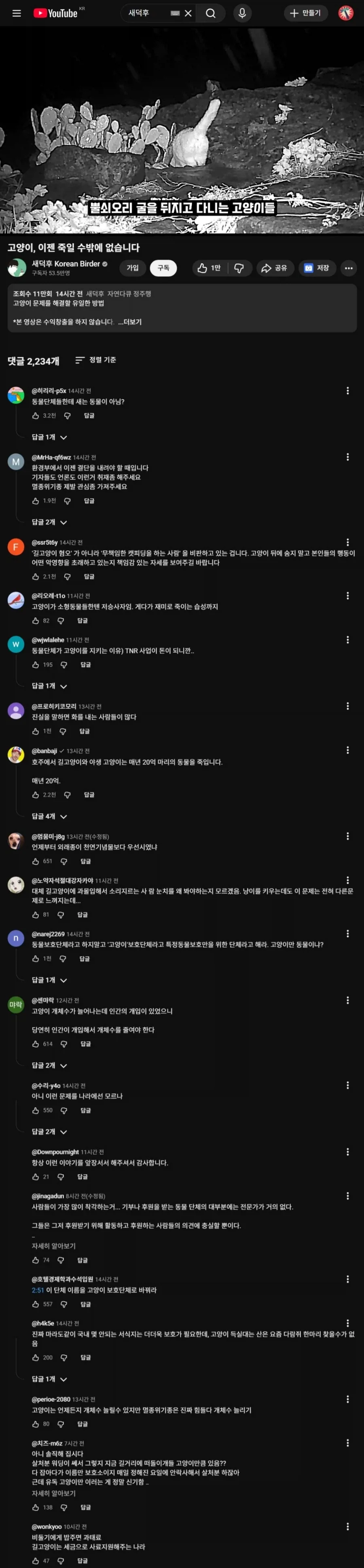 새덕후 영상에 캣맘카페 반응_1.webp