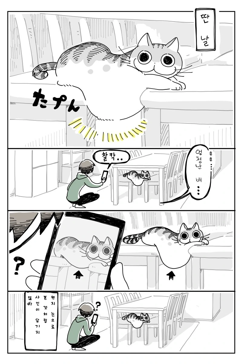 manga_378677_003.webp