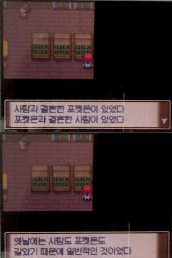 파트너 포켓몬을 받아온 만화_4.png