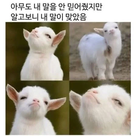 홍명보감독 체코전 이겼을때 표정 특징_1.webp
