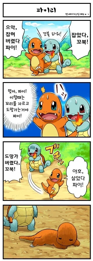 파이리는 도마뱀과 지?_1.webp