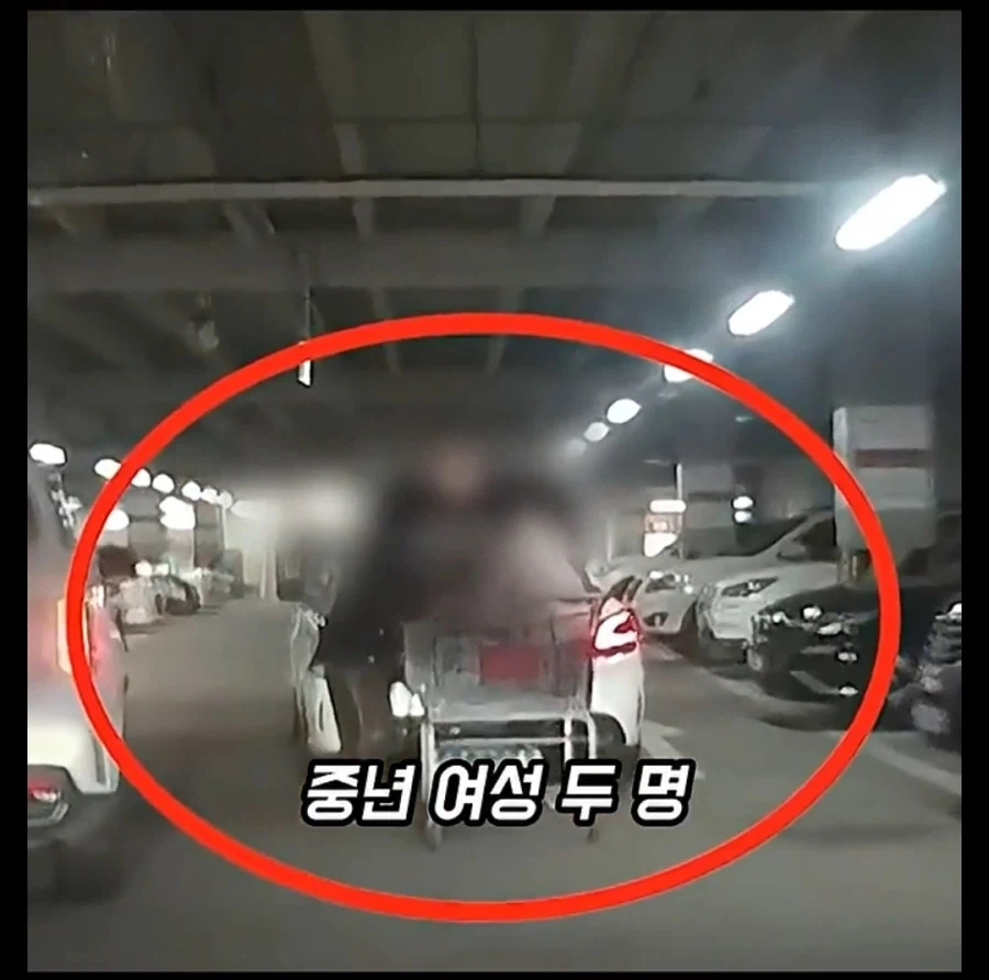 주차장에 나온 역대급 카트빌런_2.webp