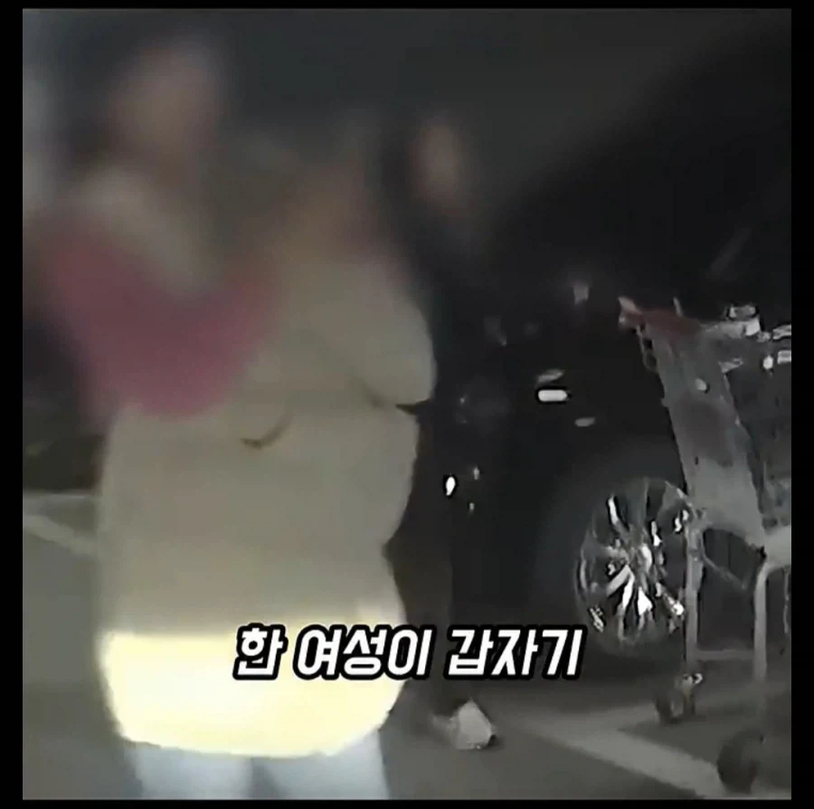 주차장에 나온 역대급 카트빌런_5.webp