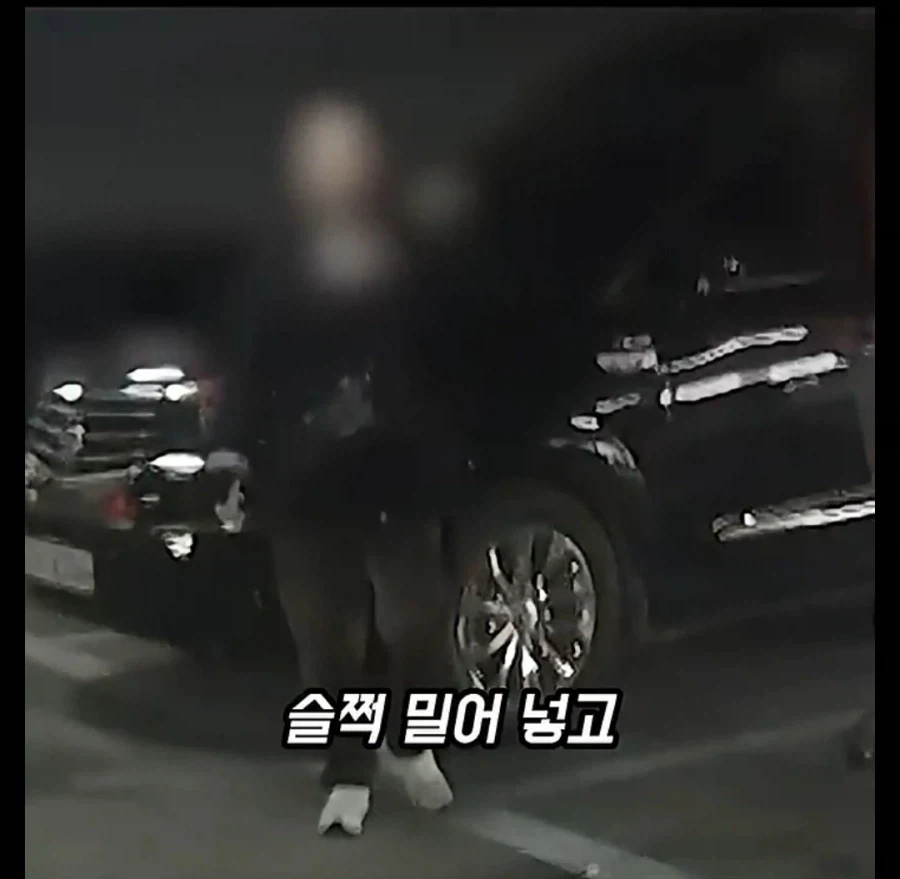 주차장에 나온 역대급 카트빌런_8.webp