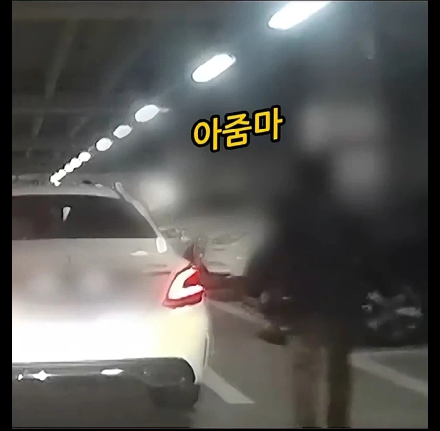 주차장에 나온 역대급 카트빌런_10.webp
